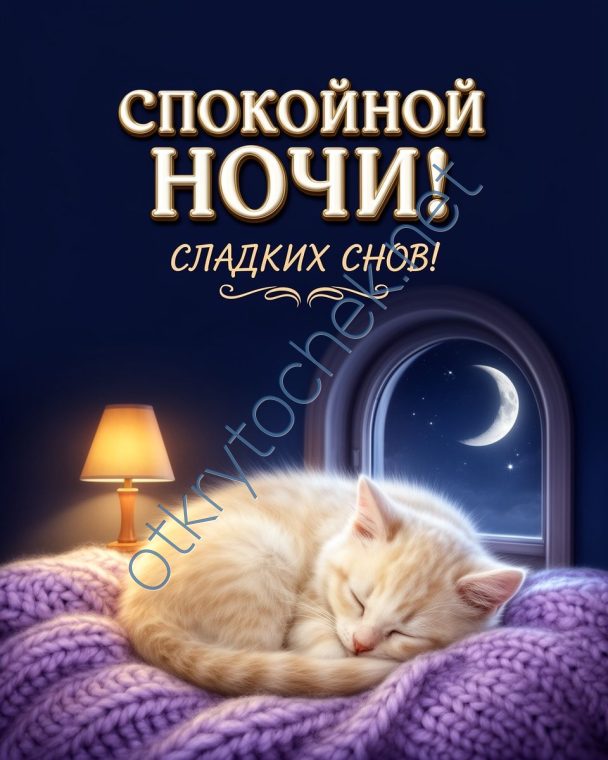 Милая открытка спокойной ночи со спящим котиком