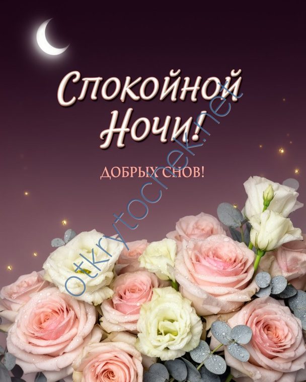 Красивая открытка для девушки с пожеланием Спокойной ночи