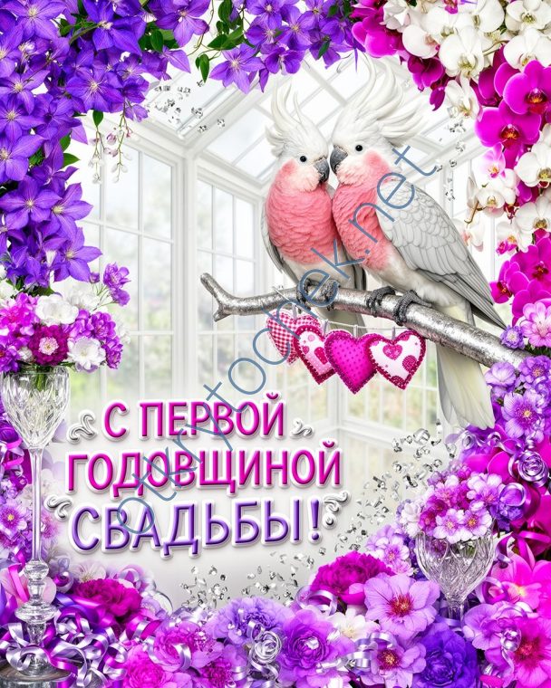 Картинка с попугайчиками и поздравлением на первую годовщину свадьбы