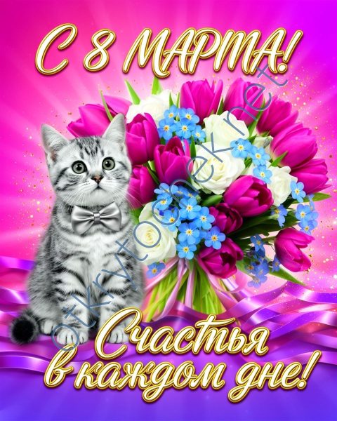Открытка с котиком для поздравления с Международным Женским Днем