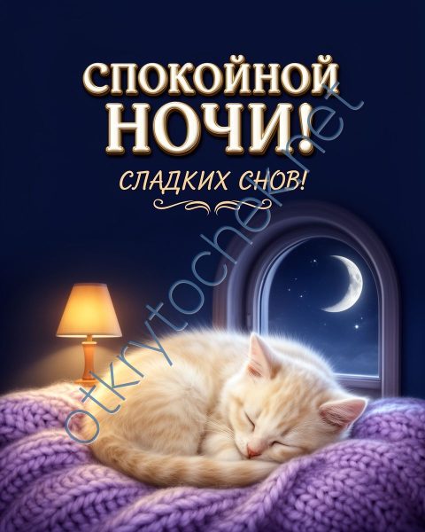 Милая открытка спокойной ночи со спящим котиком