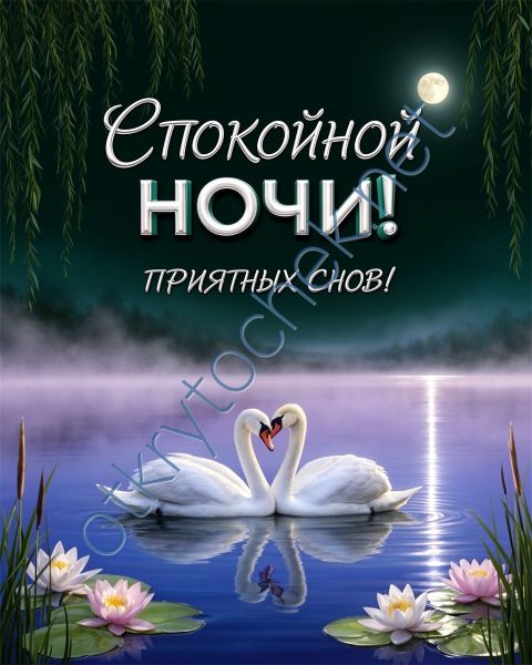 Добрая открытка с лебедями с пожеланием Спокойной ночи