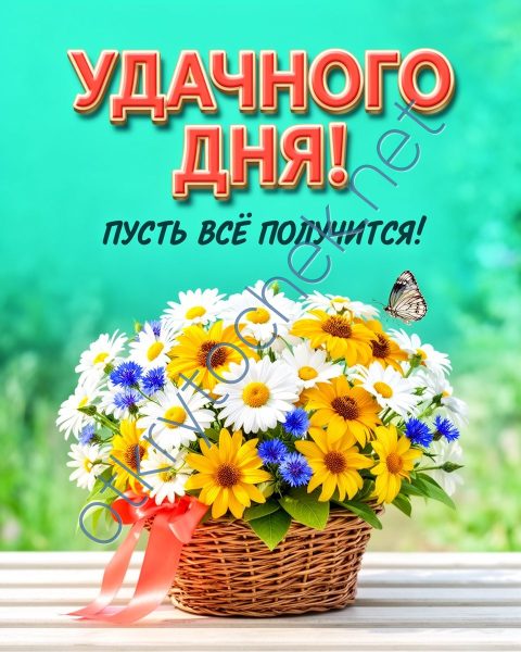Корзинка с луговыми цветами и пожелание Удачного дня